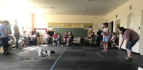 Therapy dog test Manhattan KS